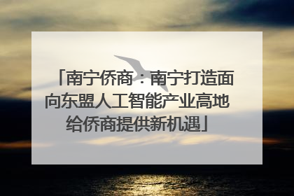 南宁侨商：南宁打造面向东盟人工智能产业高地给侨商提供新机遇