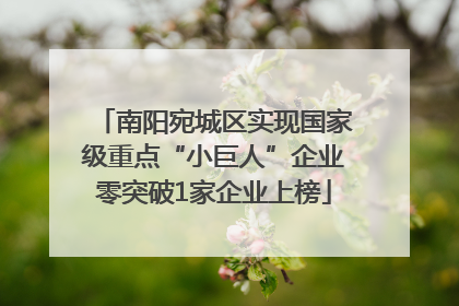 南阳宛城区实现国家级重点“小巨人”企业零突破1家企业上榜