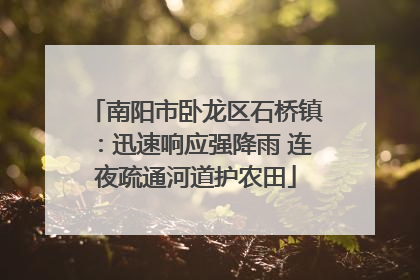 南阳市卧龙区石桥镇：迅速响应强降雨 连夜疏通河道护农田