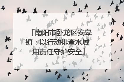 南阳市卧龙区安皋镇：以行动排查水域 用责任守护安全