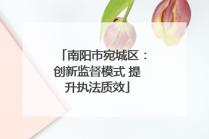南阳市宛城区：创新监督模式 提升执法质效