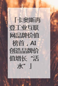 卡奥斯再登工业互联网品牌价值榜首，AI创造品牌价值增长“活水”