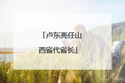 卢东亮任山西省代省长
