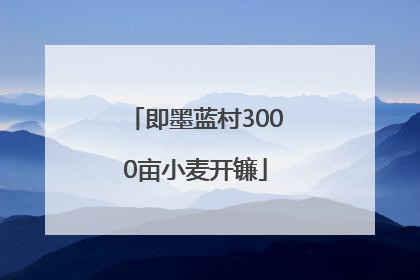 即墨蓝村3000亩小麦开镰