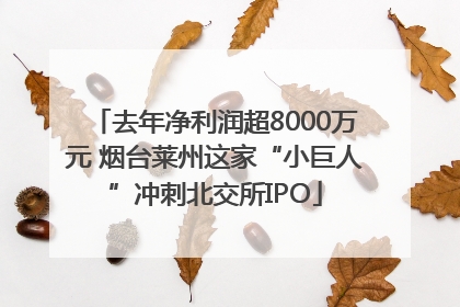 去年净利润超8000万元 烟台莱州这家“小巨人”冲刺北交所IPO