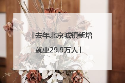 去年北京城镇新增就业29.9万人