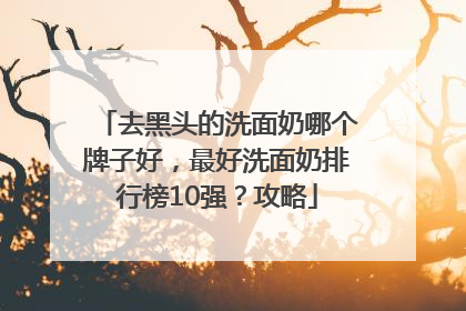 去黑头的洗面奶哪个牌子好，最好洗面奶排行榜10强？攻略