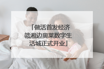 做活首发经济 赣湘边奥莱数字生活城正式开业