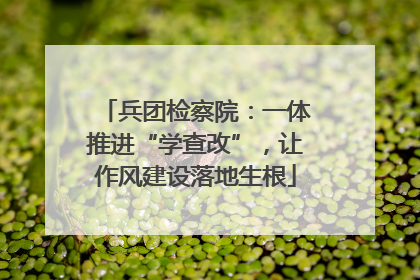 兵团检察院：一体推进“学查改”，让作风建设落地生根