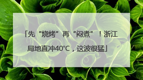 先“烧烤”再“闷煮”！浙江局地直冲40℃，这波很猛