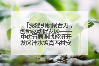 党建引领聚合力，创新驱动促发展——中建五局淄博经济开发区沣水镇高西村安置项目建设纪实