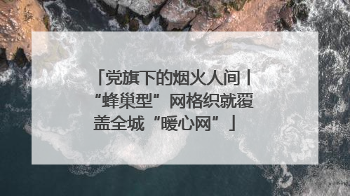 党旗下的烟火人间丨“蜂巢型”网格织就覆盖全城“暖心网”