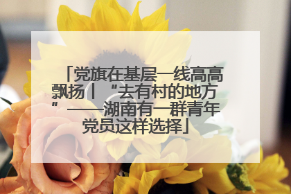 党旗在基层一线高高飘扬丨“去有村的地方”——湖南有一群青年党员这样选择