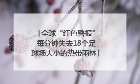 全球“红色警报”  每分钟失去18个足球场大小的热带雨林