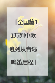 全国第11万列中欧班列从青岛鸣笛启程