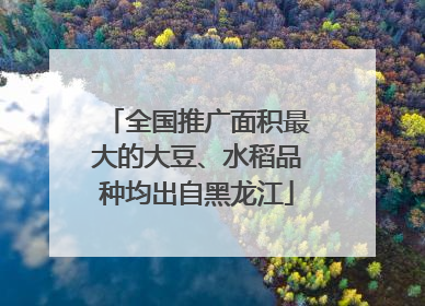 全国推广面积最大的大豆、水稻品种均出自黑龙江