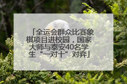 全运会群众比赛象棋项目进校园，国家大师与泰安40名学生“一对十”对弈