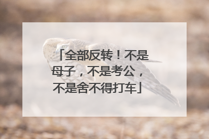 全部反转！不是母子，不是考公，不是舍不得打车