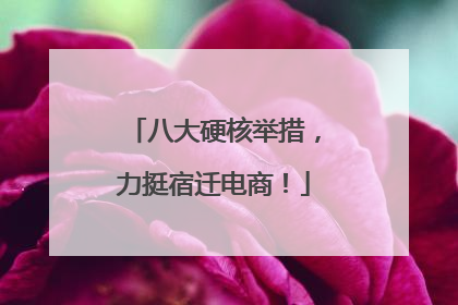八大硬核举措，力挺宿迁电商！