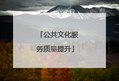 公共文化服务质量提升