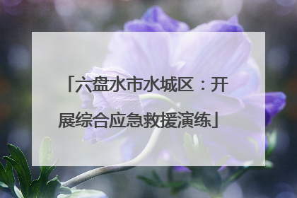 六盘水市水城区：开展综合应急救援演练