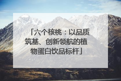 六个核桃：以品质筑基、创新领航的植物蛋白饮品标杆