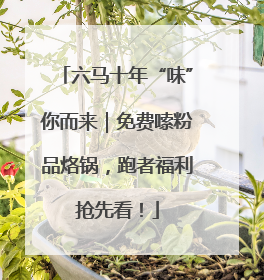 六马十年“味”你而来｜免费嗦粉品烙锅，跑者福利抢先看！
