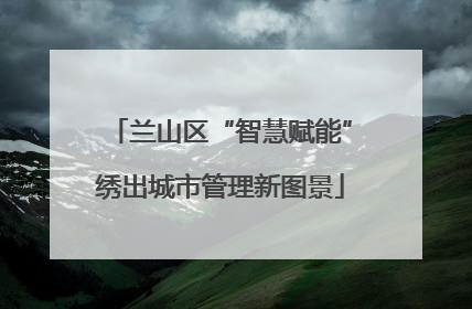 兰山区“智慧赋能”绣出城市管理新图景