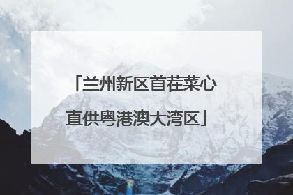 兰州新区首茬菜心直供粤港澳大湾区