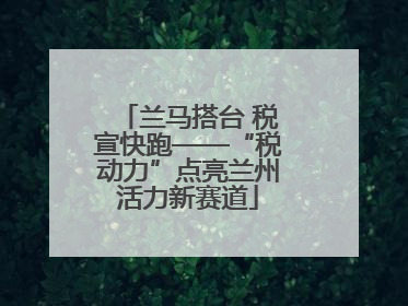 兰马搭台 税宣快跑——“税动力”点亮兰州活力新赛道