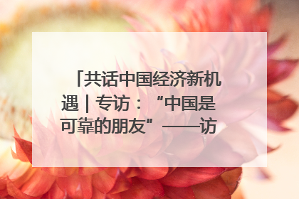 共话中国经济新机遇｜专访：“中国是可靠的朋友”——访马来西亚种植及原产业部副部长陈泓缣