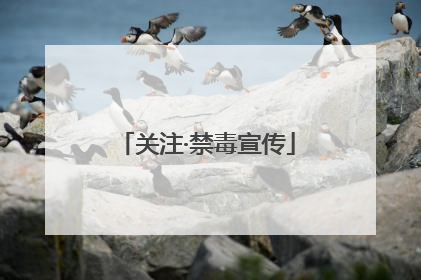 关注·禁毒宣传