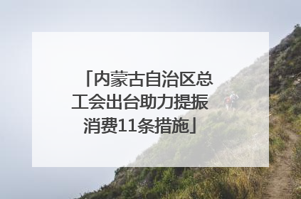 内蒙古自治区总工会出台助力提振消费11条措施