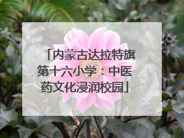 内蒙古达拉特旗第十六小学：中医药文化浸润校园