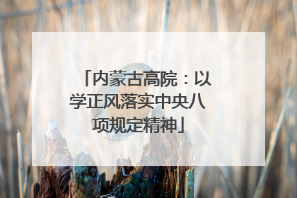 内蒙古高院：以学正风落实中央八项规定精神
