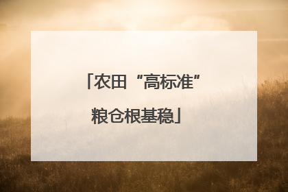 农田“高标准” 粮仓根基稳
