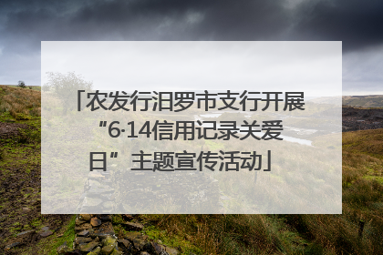 农发行汨罗市支行开展“6·14信用记录关爱日”主题宣传活动