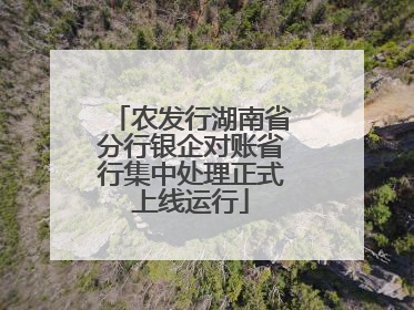 农发行湖南省分行银企对账省行集中处理正式上线运行