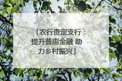 农行贵定支行：提升普惠金融 助力乡村振兴