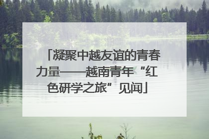 凝聚中越友谊的青春力量——越南青年“红色研学之旅”见闻