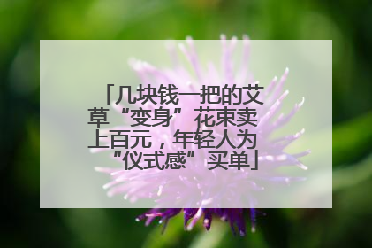 几块钱一把的艾草“变身”花束卖上百元，年轻人为“仪式感”买单