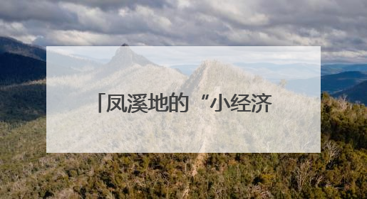 凤溪地的“小经济”与“大情怀”