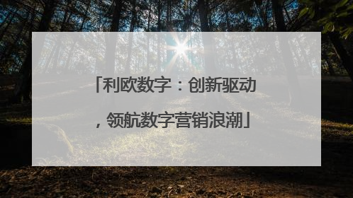 利欧数字：创新驱动，领航数字营销浪潮