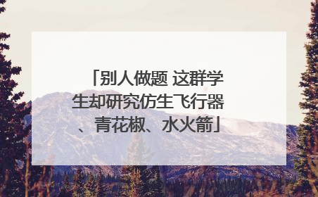 别人做题 这群学生却研究仿生飞行器、青花椒、水火箭