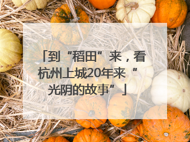 到“稻田”来，看杭州上城20年来“光阴的故事”