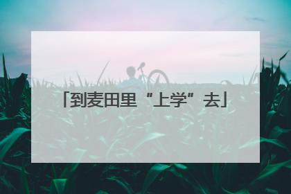 到麦田里“上学”去