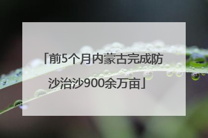 前5个月内蒙古完成防沙治沙900余万亩