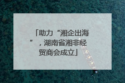 助力“湘企出海”，湖南省湘非经贸商会成立