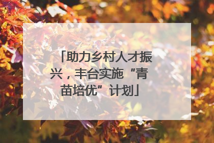 助力乡村人才振兴，丰台实施“青苗培优”计划
