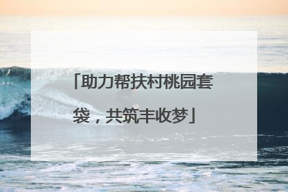 助力帮扶村桃园套袋，共筑丰收梦